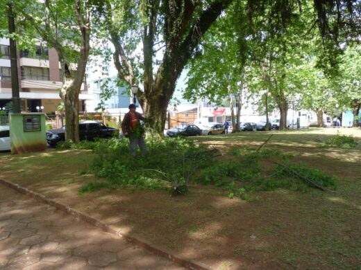 Prefeitura dá continuidade a melhorias nas praças da cidade