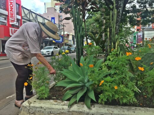 Programa Adote o Verde incentiva adoção de praças