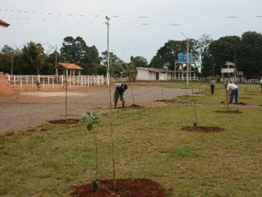 Prefeitura realiza investimento no Parque da Roselândia