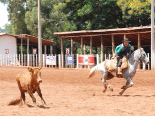 Festa Campeira começa nesta quinta-feira