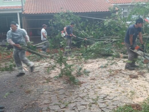 Defesa Civil Municipal registra danos causados pelas chuvas desta quinta-feira em Passo Fundo
