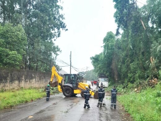 Chuva e ventos fortes causam danos em Passo Fundo durante a madrugada