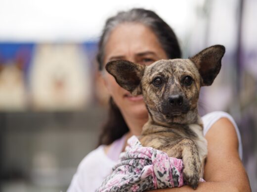 Fundo Municipal de Proteção e Bem-Estar Animal ganha reforço com nova política estadual