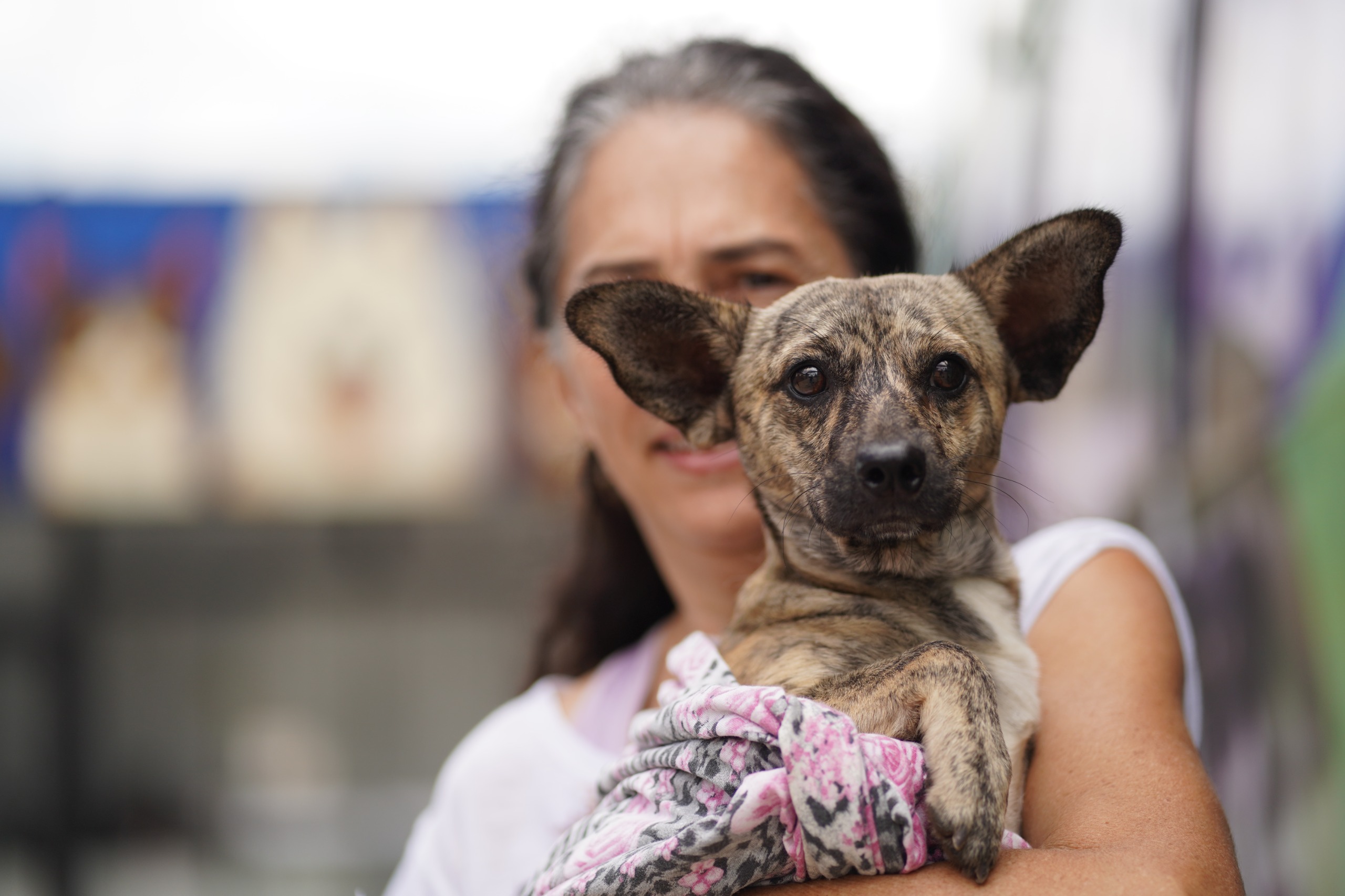 Fundo Municipal de Proteção e Bem-Estar Animal ganha reforço com nova política estadual