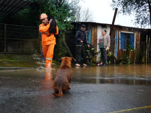 Prefeitura registra um dos maiores volumes de chuva em 24 horas da história e mobiliza força-tarefa para atendimento à população