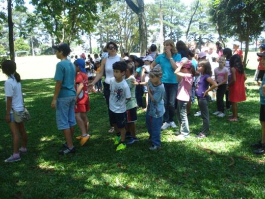 Mais de 500 participantes no Tarde Legal