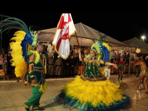 Foliões fazem a festa no Carnaval 2013 de Passo Fundo