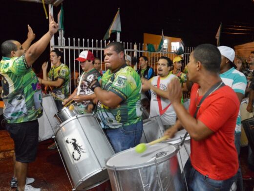 Carnaval 2014: Sem dinheiro público, escolas de samba estão prontas para o desfi