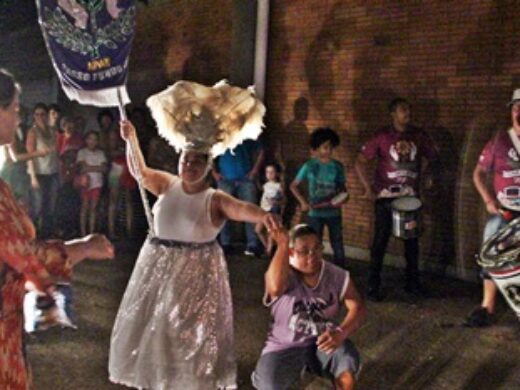 Carnaval de Passo Fundo: a paixão da APAE na Avenida do Samba