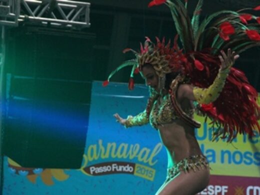 Carnaval 2015: quase 70% dos camarotes já foram vendidos