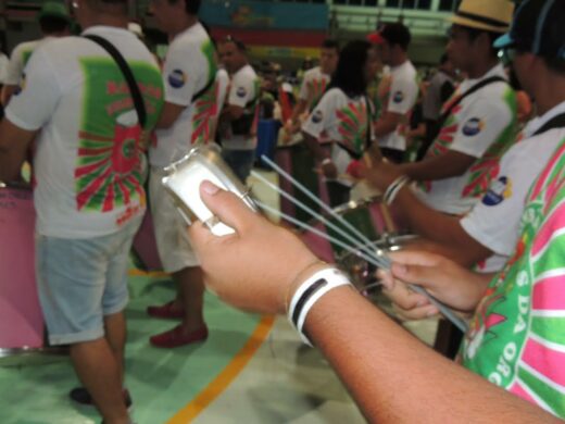 Carnaval de Passo Fundo se reinventa