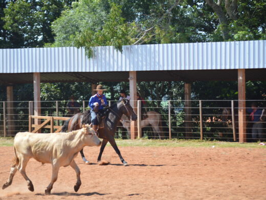 Parque de Rodeios é sede de tiro de laço
