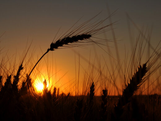 ﻿Sala Desdêmona Machado Aires com exposição