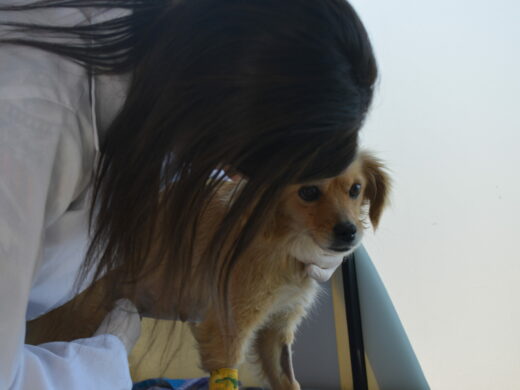 Programa atende comunidade da vila Bom Jesus