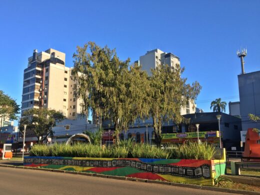 Floreira no entorno do Espaço Cultural ganha cores