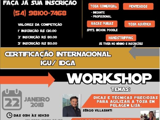 Município sedia 1ª competição de tosa do interior