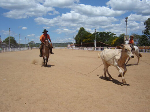 Escolas participam de tertúlias no rodeio