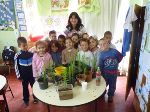 Projeto passo-fundense “Pinheiro Araucária” concorre a prêmio nacional