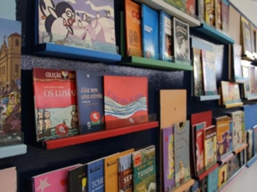 Biblioteca Pública Arno Viuniski tem acesso catalogado oficialmente