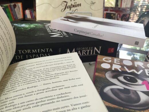 Cheque Livro: mais de 500 livros no início de 2016