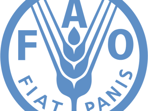 Experiência da merenda escolar é destaque nacional