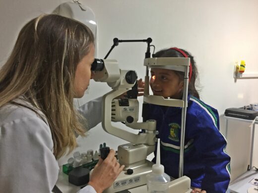 Alunos realizam consulta de revisão