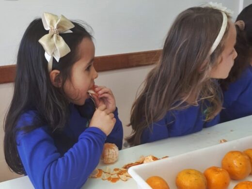 Alunos de Nutrição realizam estágio nas escolas