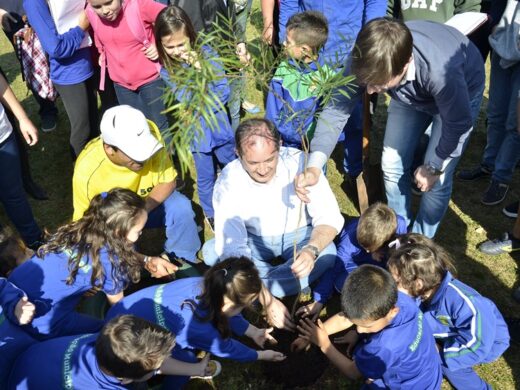 Prefeitura planta árvore nº 6.500