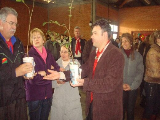 Semana Farroupilha Mais de 500 mudas nos cafés de chaleira