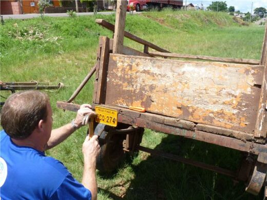 Cavalos e carroças serão regularizados na Vila Donária