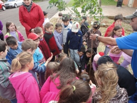 Programa Uma Criança, Uma Árvore já plantou mais de 300 mudas em Passo Fundo