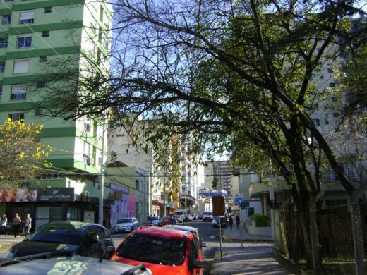 A pedido de moradores, Prefeitura realiza poda de árvore no bairro Annes
