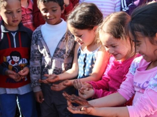 Programa Uma Criança, Uma Árvore plantou mais de 1.700 árvores em 2013