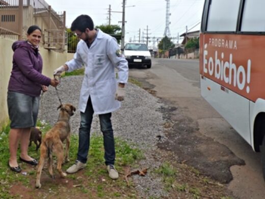 Programa É o Bicho realiza os primeiros atendimentos aos animais do município