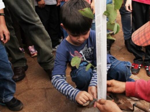 Uma Criança, Uma Árvore: mais de 4 mil mudas já foram plantadas