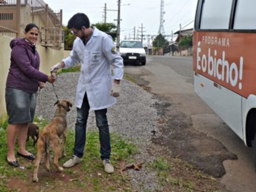 É o Bicho: programa segue atendimento na Cohab II