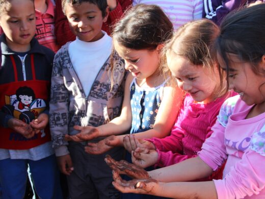 Meio Ambiente: atividades para o final de semana