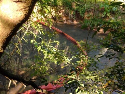 Ações de recuperação do Rio Passo Fundo