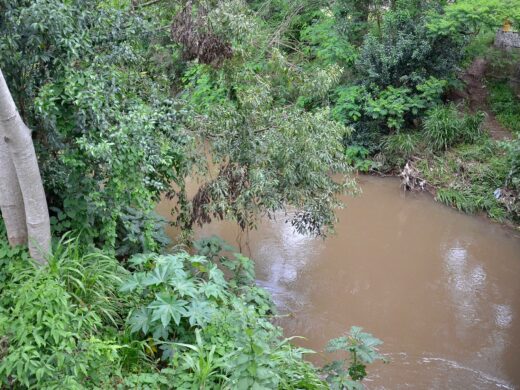 Recuperação das margens do Rio Passo Fundo