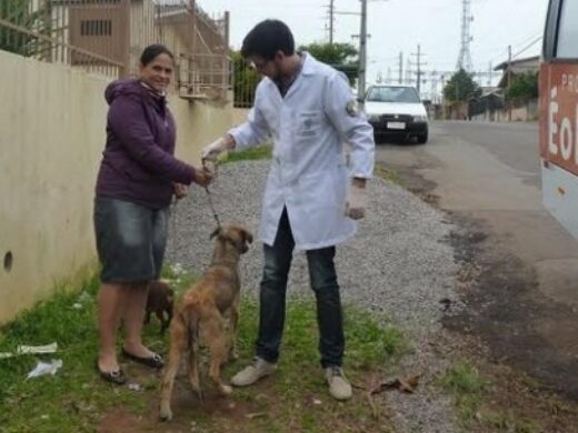 Programa é o Bicho chega ao Bairro Záchia