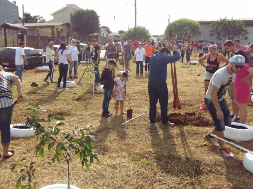 Trote do bem: universitários plantam árvores