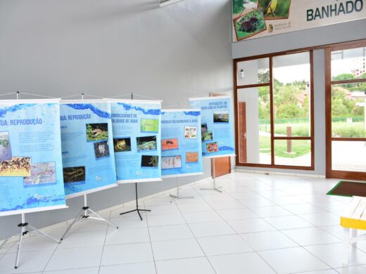 Parque Banhado da Vergueiro recebe exposição
