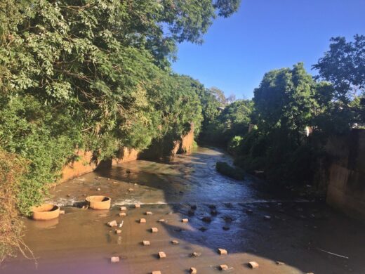 Quantidade de lixo no Rio Passo Fundo reduz