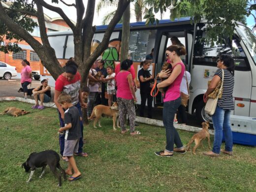 Programa atende rede de protetores de animais