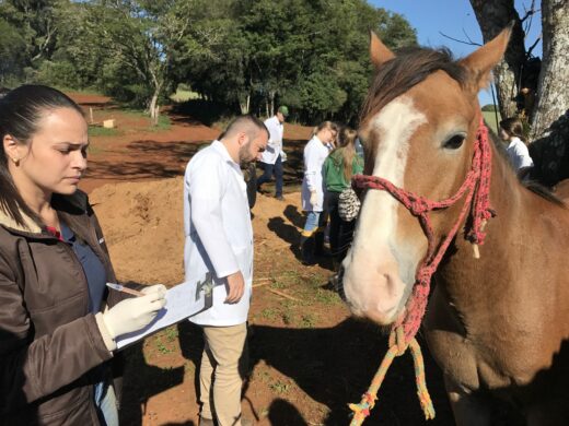 Alunos da Veterinária tem aula na hospedaria