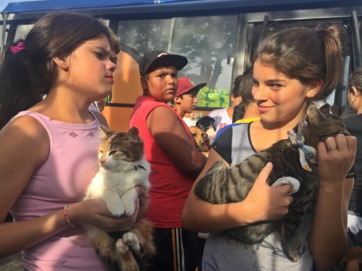 Processo para contratação de clínicas veterinárias