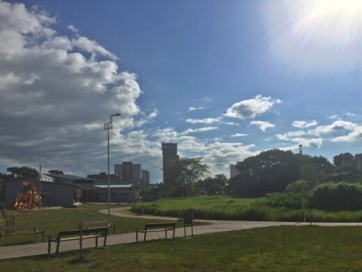 Junho será mês de mobilização pelo meio ambiente