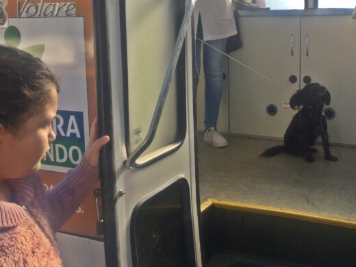 É o Bicho atende comunidade da vila Isabel