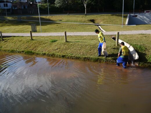 Lago do Parque da Gare passa por limpeza