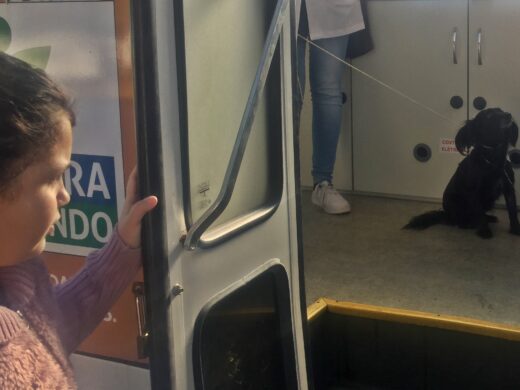 É o Bicho: novas clínicas veterinárias